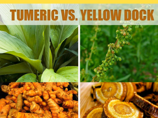 Yellow Dock Vs Turmeric:What is your choice