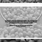 175original.webp