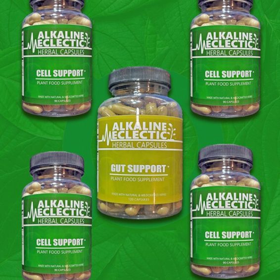 CELL-GUT-SUBSCRIPTION-SMALL-1-600x900-1.jpg