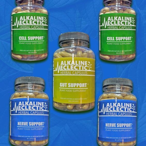 NERVE-GUT-SUBSCRIPTION-SMALL-600x900-1.jpg