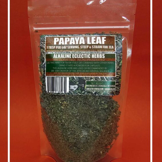 PAPAYA-LEAF-GRAPHICS-1.jpg