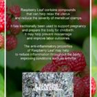 RASPBERRY-GRAPHIC-2-600x900-1.jpg
