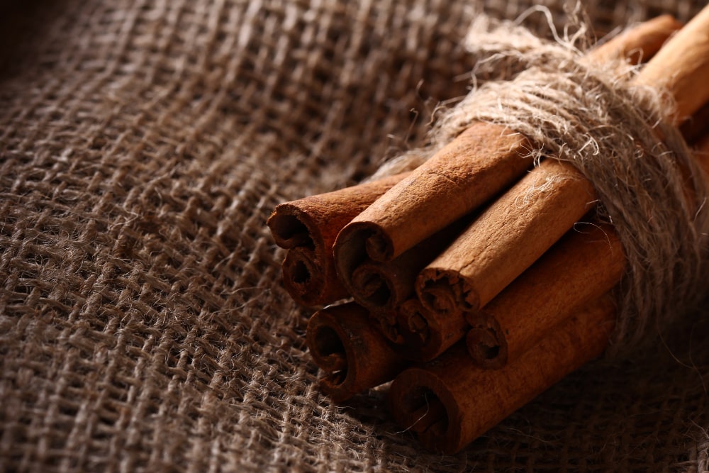 Uncovering The Remarkable Health Benefits Of Burdock Root